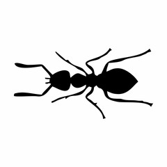 silhouette of a black ant walking