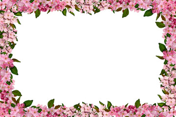 Spring flower arrangement Festive frame of pink apple tree flowers isolated on white background. Design element for creating postcard, wedding cards and invitation. Overlay background.