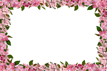 Spring flower arrangement Festive frame of pink apple tree flowers isolated on white background. Design element for creating postcard, wedding cards and invitation. Overlay background.