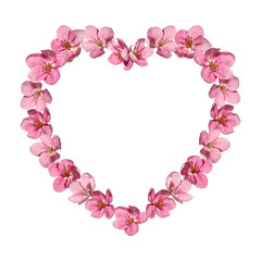 Obraz premium Spring flower arrangement. Festive frame of apple tree flowers in the shape of a heart isolated on white background. Valentine's Day background for postcards, stickers, prints, invitations.