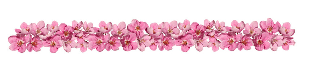 Spring flower arrangement of pink apple tree flowers. Design element for creating collage or designs, cards, wedding decor and invitations. Border, flower garland isolated on white background. 