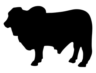 Brahman Bull silhouette vector art white background