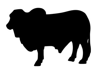 Brahman Bull silhouette vector art white background