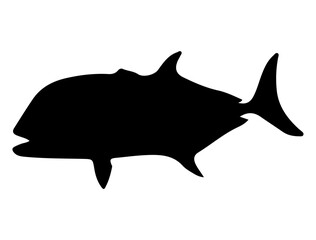 Fototapeta premium Giant Trevally Fish silhouette vector art white background