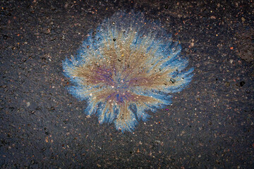 A bright spot of oil or gasoline spray on the pavement after rain