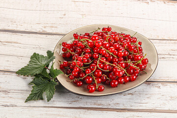 Sweet ripe red currant berries