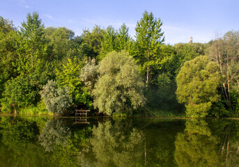 lake in the forest - 704280723
