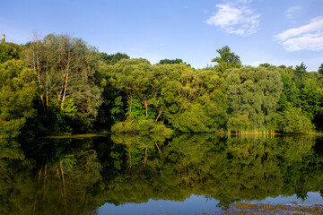 lake in the forest - 704280724