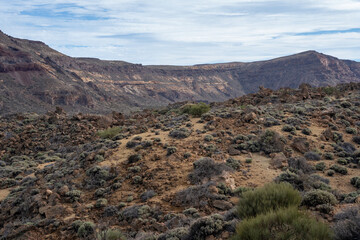 Landscape of Teide National Park, Tenerife, Canary Islands, Spain