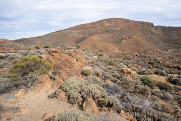 Landscape of Teide National Park, Tenerife, Canary Islands, Spain