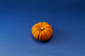 小型のカボチャを中心に1個配置した青色系背景あり俯瞰撮影