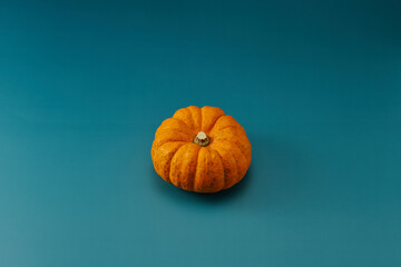 小型のカボチャを中心に1個配置した緑色系背景あり俯瞰撮影