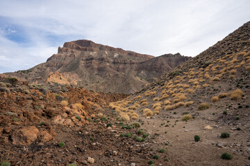Landscape of Teide National Park, Tenerife, Canary Islands, Spain