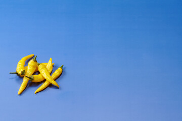 黄色系唐辛子を複数左下に複数配置した青色系背景あり俯瞰撮影