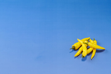 黄色系唐辛子を複数右下に複数配置した青色系背景あり俯瞰撮影