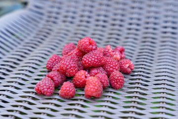 Pile of fresh raspberries on garden chair