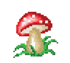 Fototapeta premium A forest mushroom with green grass. 