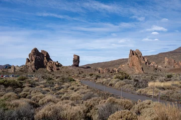 Foto op Canvas Roques de Garcia volcanic rocks in Teide National Park, Tenerife, Canary Islands, Spain © Abinieks