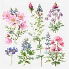 Zelfklevend Fotobehang set of watercolor painted flowers © Алена Харченко