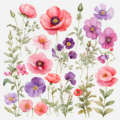 Obraz premium set of watercolor painted flowers