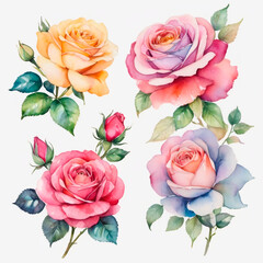 set of watercolor painted flowers