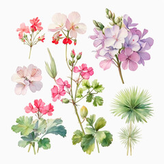 set of watercolor painted flowers