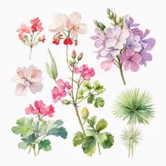 Tuinposter set of watercolor painted flowers © Алена Харченко