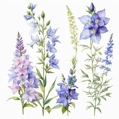 Obraz premium set of watercolor painted flowers