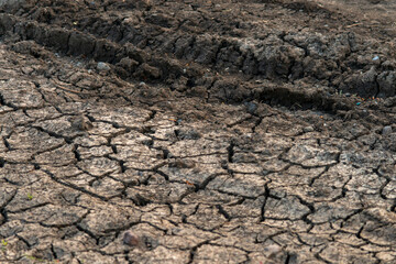 plastic polluted cracked earth background. Global warming, climate change and global warming...