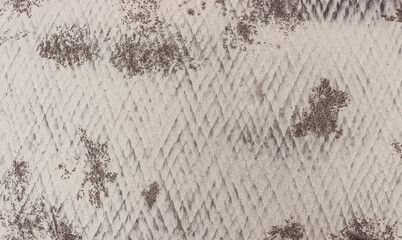 Texture of sandy seabed at low tide with crab holes. Unusual background for design.