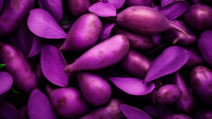 Fototapeta premium Purple sweet potato has a lot of texture. Selective focus.