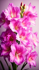 photo close up on gladiolus flower details. generated AI