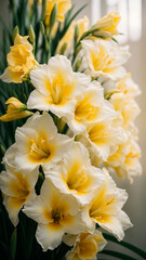 photo close up on light white and yellow gladiolus flower details. generated AI