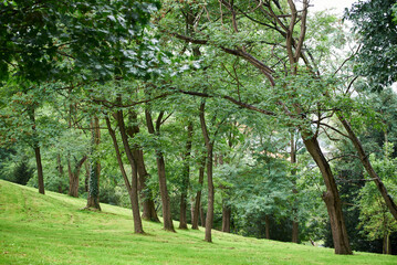 Artxanda Park, Bilbao, Biscay, Basque Country, Euskadi, Spain, Europe.
