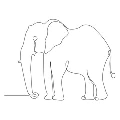 World wild life continuous single line art drawing and elephant one line outline vector art  illustration