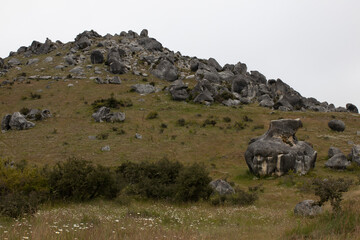 Obraz premium Castle Hill Conservation Area