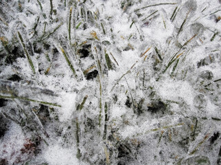 Snow - covered field.