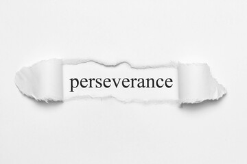 Fototapeta premium perseverance 