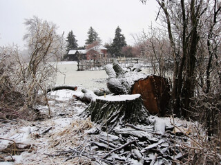 Snow-covered village