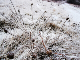 Winter field after an icy rain