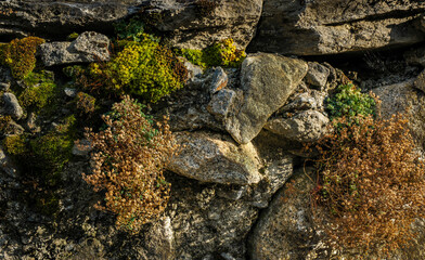 The wonderful Garos Town