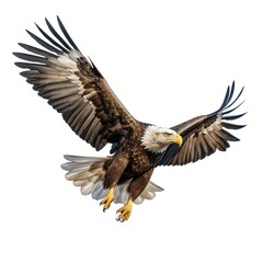 A majestic bald eagle soars through the sky