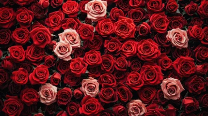 Tuinposter natural fresh red roses flowers pattern wallpaper, top view, red rose flower wall background © SejutaCahaya