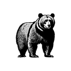 illustration of a bear vector design | Silhouette of a bear svg mascot