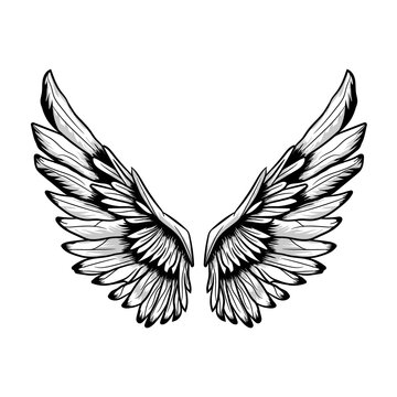 Angel wings illustration in black and white.