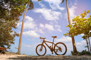 Bicycle between palm trees against the blue sky. The concept of active recreation, vacation and...