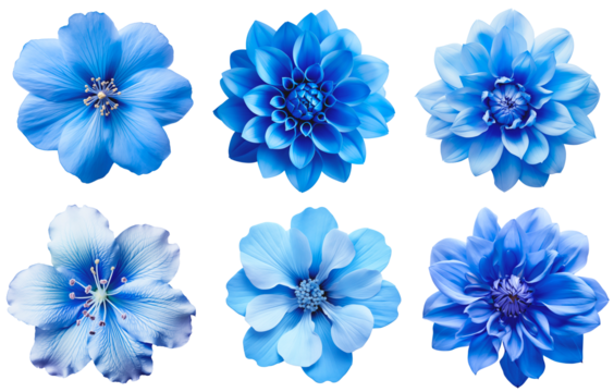 Various blue flowers. Set of blue flowers. Isolated on a transparent background. - Powered by Adobe