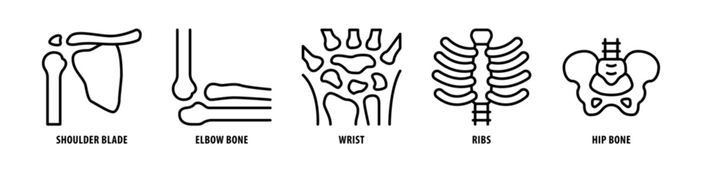 Hip bone, Ribs, Wrist, Elbow bone, Shoulder blade editable stroke outline icons set isolated on white background flat vector illustration.