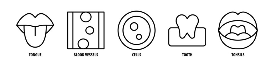 Tonsils, Tooth, Cells, Blood Vessels, Tongue editable stroke outline icons set isolated on white background flat vector illustration.