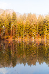 Autumn in Jezersko, Slovenia. Colourful trees reflecting in calm water surface. Bright and vibrant landscape scene. Nature background. Autumn walk.